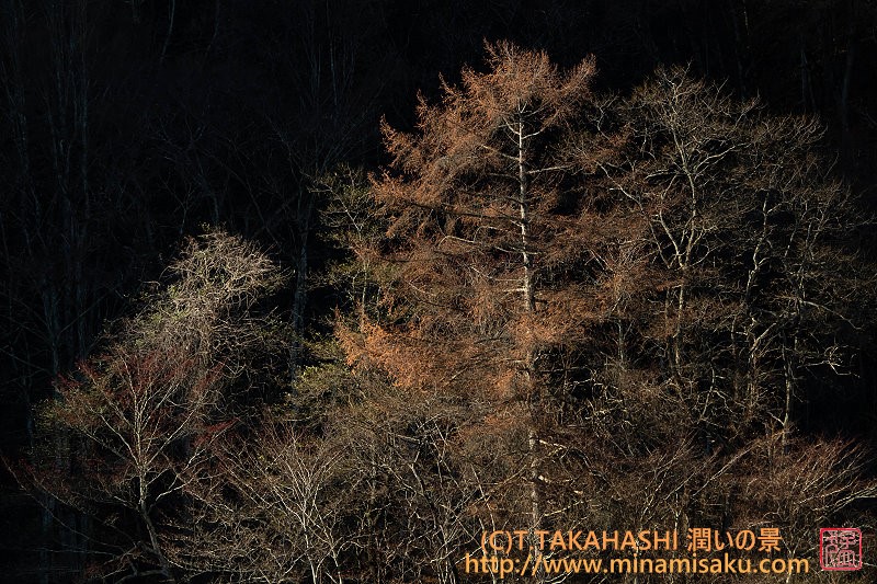 ../Images/7R251122 (22).jpg